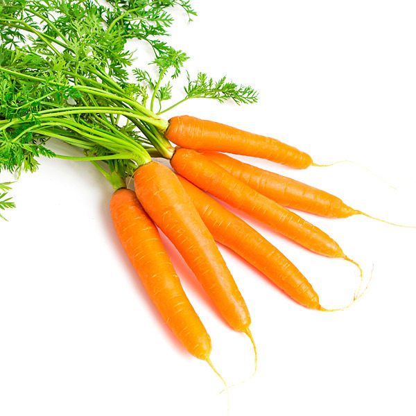 En elegant Morötter, Närodlade morötter med naturligt utseende och känsla. Detaljerad utformning med realistiskt bladverk. 