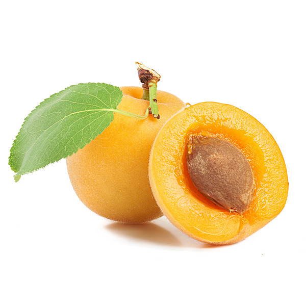 En elegant Plommon gula, Härligt mogna gula plommon med naturligt utseende och känsla. Detaljerad utformning med realistiskt bladverk. 