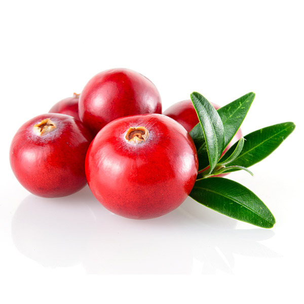 En elegant Tranbär, Fulla med antioxidanter med naturligt utseende och känsla. Detaljerad utformning med realistiskt bladverk. 