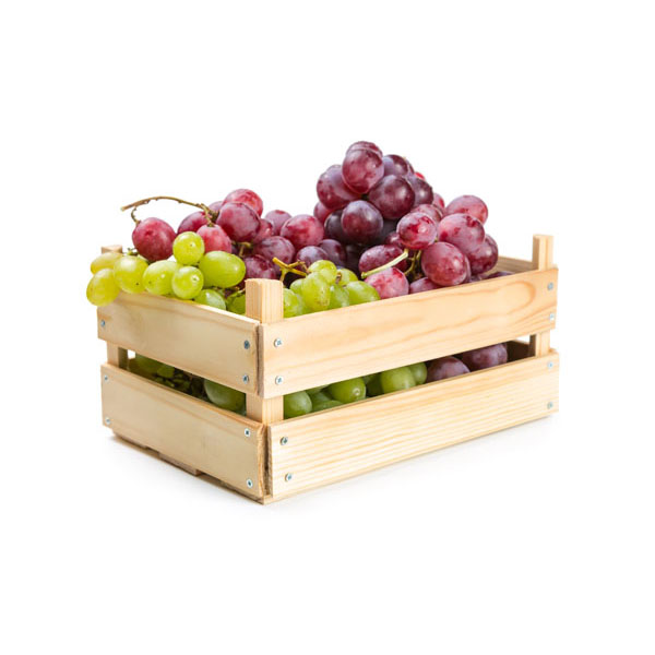 En elegant Fruktkorg Exotisk, En god blandning av exotiska frukter med naturligt utseende och känsla. Detaljerad utformning med realistiskt bladverk. 